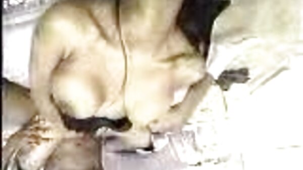 مثليات مثير Hope Howell و Jericha Jem لعق الهرات بعضهما البعض افضل موقع اباحي مترجم